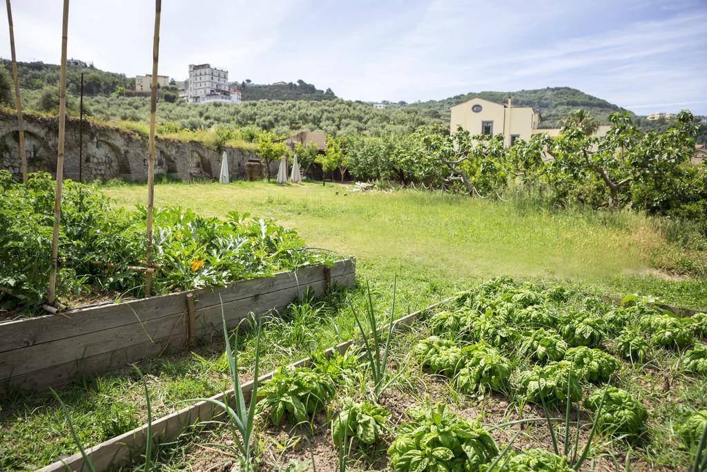 Relais Regina Giovanna Sorrento Exteriér fotografie