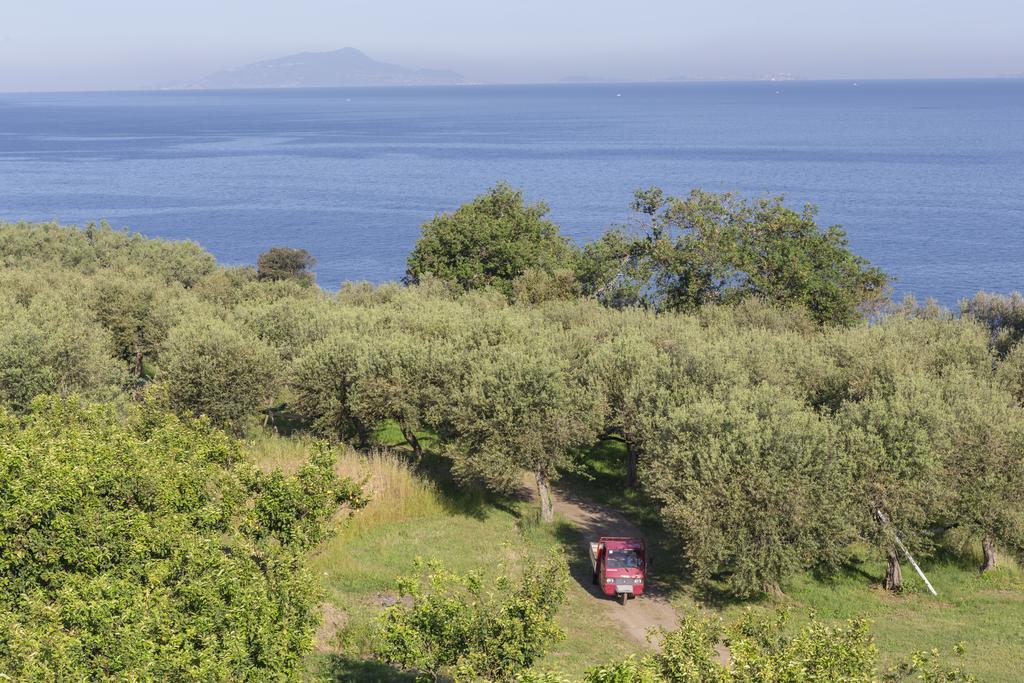 Relais Regina Giovanna Sorrento Exteriér fotografie