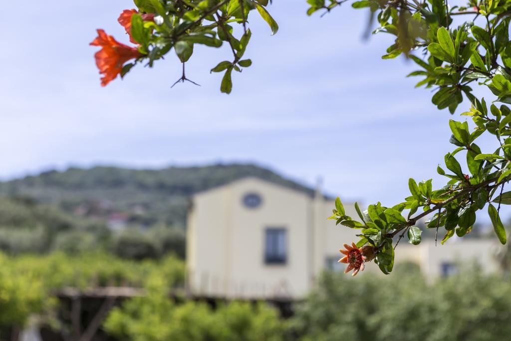 Relais Regina Giovanna Sorrento Exteriér fotografie