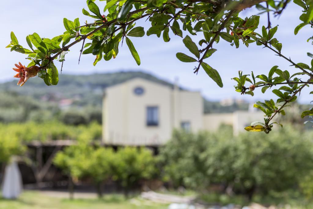 Relais Regina Giovanna Sorrento Exteriér fotografie